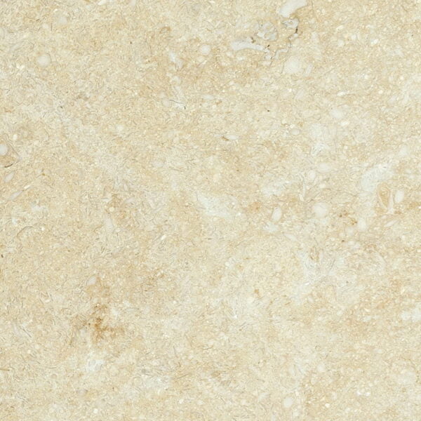 Seashell Honed Limestone